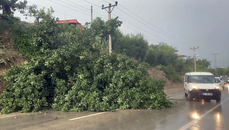 Adana ve Osmaniye’de fırtına ve sağanak etkili oldu