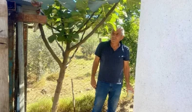 Osmaniye’de Tavuk Hırsızlığı: 10 Yıldır Beslediği Tavuklar Çalındı